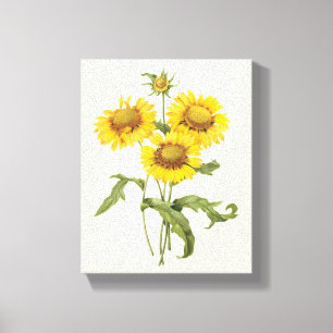 Vintage-Blumen-Teppichblume Sonnenblume von Redout Leinwanddruck