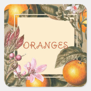 Vintage Blumen und Orangen Quadratischer Aufkleber