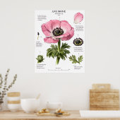 Vintage-Blumenanatomie-Kunst | Botanische Studie Poster (Küche)