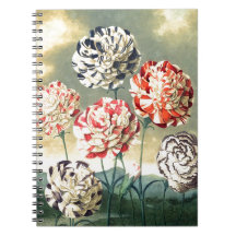 Vintage Blumenbilder