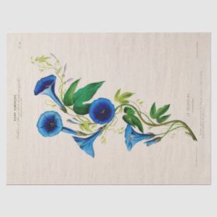 Vintage Blumenblumen Ephemera Decoupage Seidenpapier