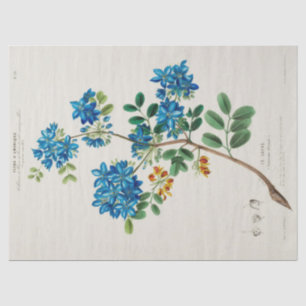 Vintage Blumenblumen Ephemera Decoupage Seidenpapier