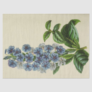 Vintage Blumenblumen Ephemera Decoupage Tis Seidenpapier