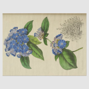 Vintage Blumenblumen Ephemera Decoupage Tis Seidenpapier