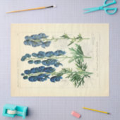 Vintage Blumenblumen Ephemera Decoupage Tis Seidenpapier (Basteln)