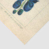 Vintage Blumenblumen Ephemera Decoupage Tis Seidenpapier (Detail)