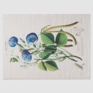 Vintage Blumenblumen Ephemera Decoupage Tis Seidenpapier