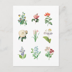Vintage Blumendarstellung Minimalistisch Botanisch Postkarte
