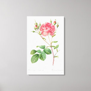 Vintage Blumenfreude: Rosa Leinwand Kunst