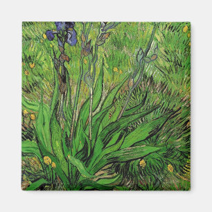 Vintage Blumengarten Blume Iris von Van Gogh. Magnet