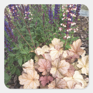 Vintage-Blumengarten-Quadrat-Aufkleber mit Botanic Quadratischer Aufkleber