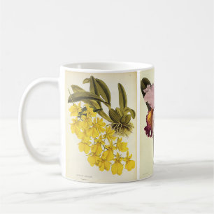 Vintage Blumengebilde, tropische Orchideenblüten Kaffeetasse