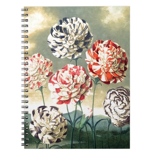 Vintage-Blumenillustrationen Notizblock (Vorderseite)