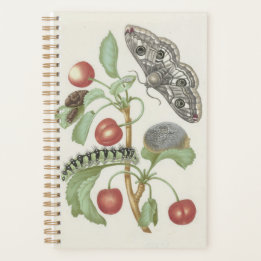 Vintage-Blumenplaner mit Motte und Raupe Planer