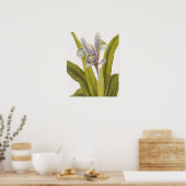 Vintage-Blumenposter; Iris Poster (Küche)