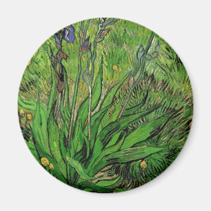 Vintage Blumenriris von Vincent van Gogh Magnet