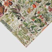 Vintage Blumensammlung #15 Seidenpapier (Ausschnitt)