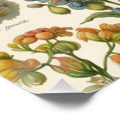 Vintage Blumensträuße Blumen Poster (Ecke)