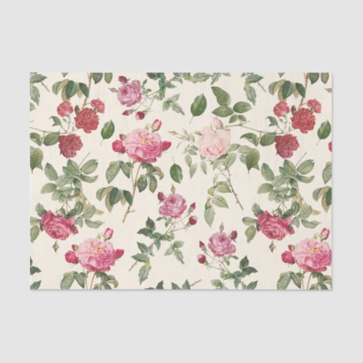 Vintage Blütencreme Rosa Rose Seidenpapier (Vorderseite)