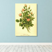 Vintage Blütenorange Pompon Rose Botanisch Leinwanddruck (Insitu (Holzboden))