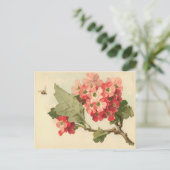 Vintage Blütenspeckkarte Postkarte (Stehend Vorderseite)