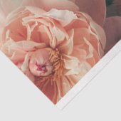 Vintage Blütenstände Pfirsichpfirsichfarben Decoup Seidenpapier (Ausschnitt)