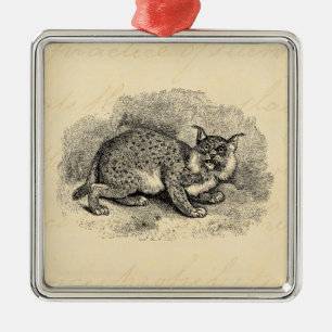 Vintage Bobcat 1800s Bob-Katzen-Luchs-Illustration Ornament Aus Metall