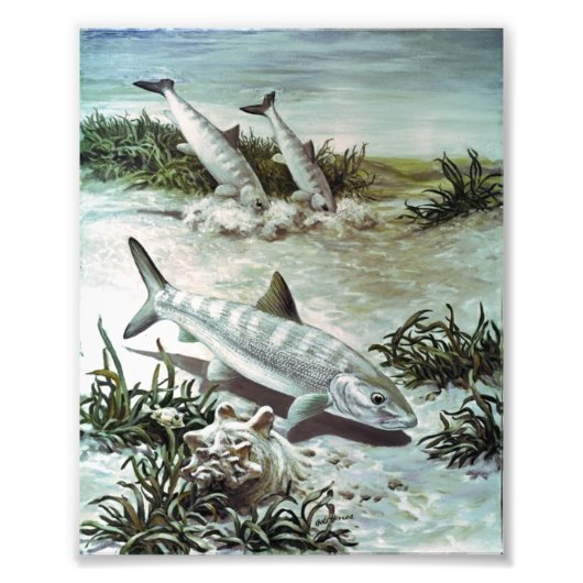 Vintage Bonefish Underwater Scene Fotodruck (Vorne)