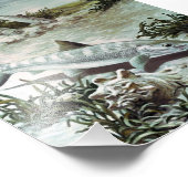 Vintage Bonefish Underwater Scene Fotodruck (Ecke)