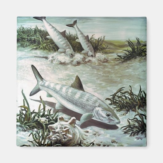 Vintage Bonefish Underwater Scene Magnet (Vorne)