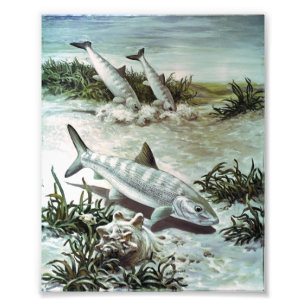 Vintage Bonefish Unterwasser Szene Fotodruck