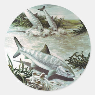 Vintage Bonefish Unterwasser Szene Runder Aufkleber