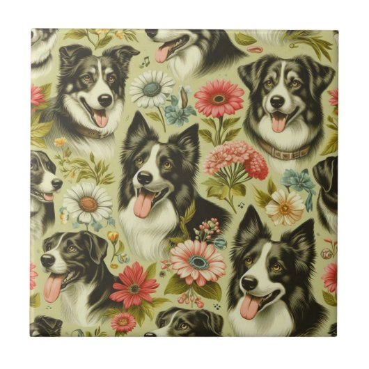 Vintage Border Collie Malerei Fliese (Vorderseite)