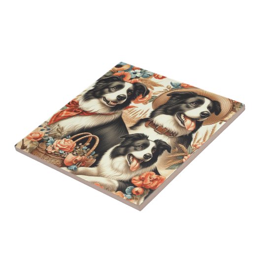 Vintage Border Collie Malerei Fliese (Seite)