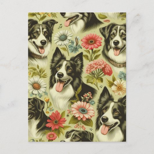 Vintage Border Collie Malerei Postkarte (Vorderseite)