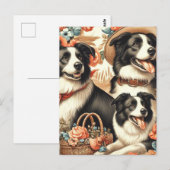 Vintage Border Collie Malerei Postkarte (Vorne/Hinten)