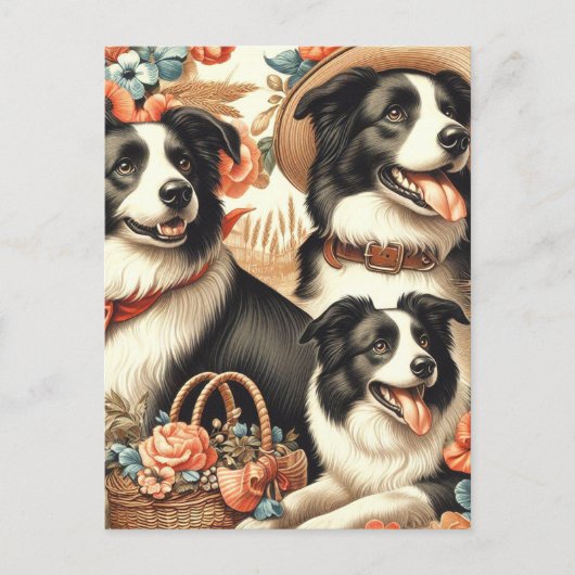 Vintage Border Collie Malerei Postkarte (Vorderseite)
