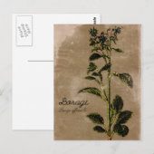 Vintage Borgeherde Postkarte (Vorne/Hinten)