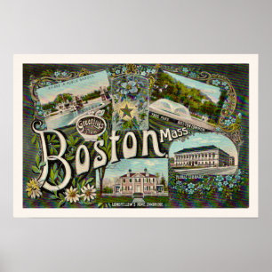 Vintage Boston Frosch Pond Print Poster