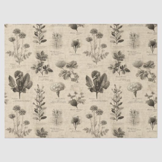 Vintage Botanical Floral Pattern (11) Seidenpapier (Vorderseite)