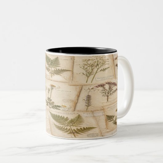 Vintage Botanical Herbarium Pattern Zweifarbige Tasse (VorderseiteRechts)
