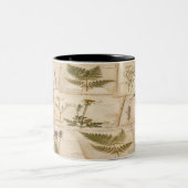 Vintage Botanical Herbarium Pattern Zweifarbige Tasse (Mittel)