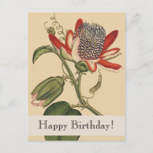 Vintage Botanicals Happy Birthday Postcard Postkarte