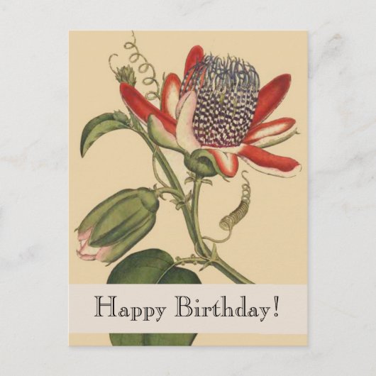 Vintage Botanicals Happy Birthday Postcard Postkarte (Vorderseite)