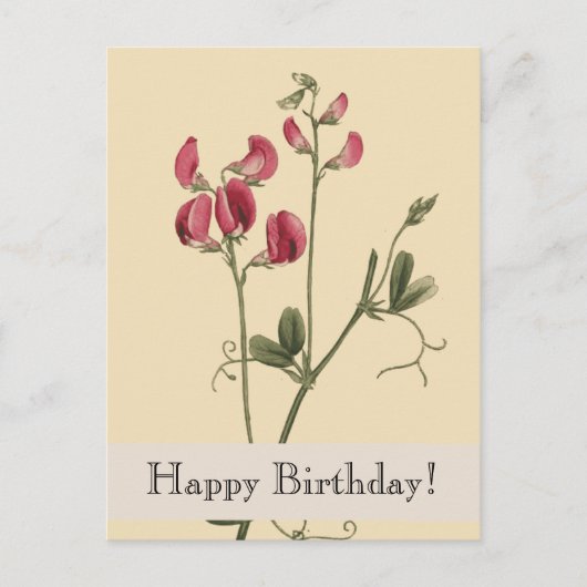 Vintage Botanicals Happy Birthday Postcard Postkarte (Vorderseite)