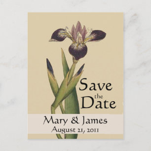Vintage Botanicals Iris Save the Date Postkarte