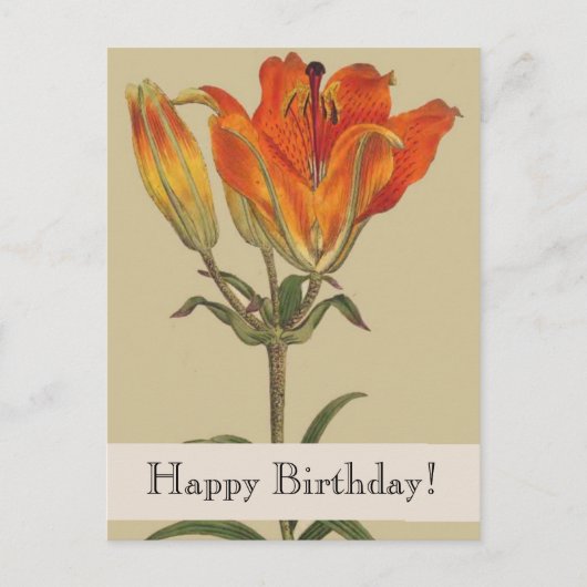 Vintage Botanicals Lily Happy Birthday Postcard Postkarte (Vorderseite)