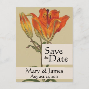Vintage Botanicals Lily Save the Date Postkarte