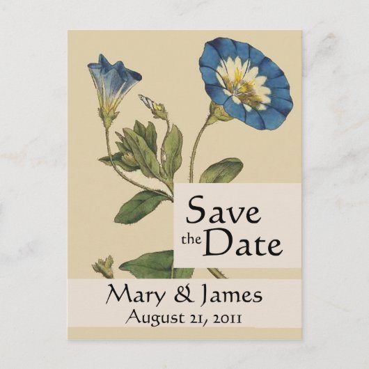 Vintage Botanicals Morning Glory Save the Date Ankündigungspostkarte (Vorderseite)