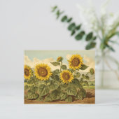 Vintage Botanicals Sonnenblumengarten Postkarte (Stehend Vorderseite)